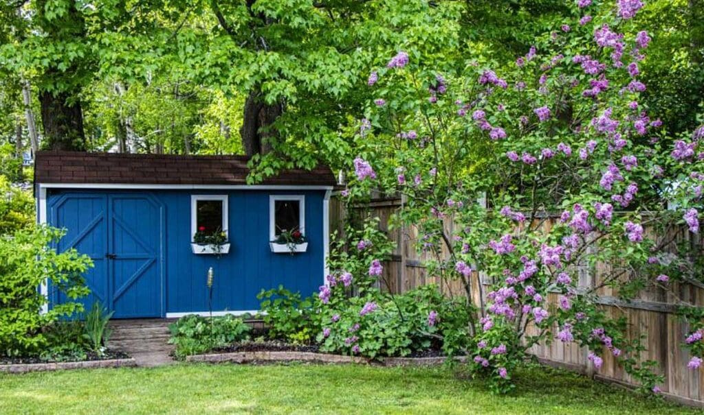 Shipping Container Shed